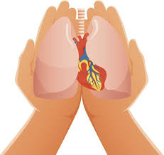 Doctors treat inflamed heart with drugs and medical procedures, such as surgery. Pericarditis Refers To Inflammation Of The Heart Lining Arthritis Treatment What Causes Arthritis Rheumatoid Arthritis Treatment