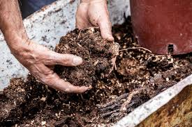 Check spelling or type a new query. Horse Manure Composted Horse Manure The Compost Shop