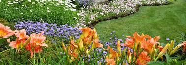 To communicate or ask something with the place, the phone number is. Landscaping Mansfield Nj 08022 C N Lawn Care