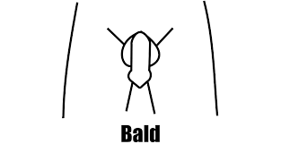 It is generally darker in color and stronger in texture than other hair found on the human body. Pubic Hairstyles For Men And Women What Looks Best Down There Product Rankers
