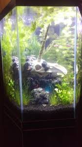 Tv fish tank \ aquarium. Diy Foam Aquarium Backgrounds And Caves Easy Fish Tank Decorations