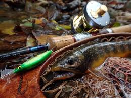 fish life 釣りのある暮らしさんはinstagramを利用しています angler saitoの秋のエンジョイフィッシングの遊び相手は初雪まではスポーニングの遅いオショロコマ とネイティブ化した虹鱒 に移っていきます 今シーズンもまたこのような風景を見るこ