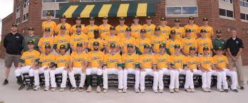 Learn the facts about baseball recruiting in bowling green, ky. 2018 Baseball Roster Wayne State University Athletics