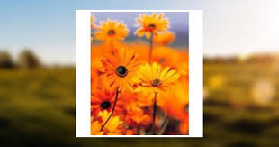 Juanita Twitchell Obituary January 18, 2009