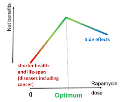 Aging Rapamycin For Longevity Opinion Article Full Text