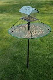 Pin By Kimberly Davidson On Back Yard Birding Bird Feeders Bird Feeder Station Bird Houses