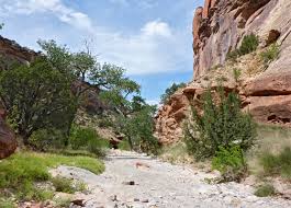 Echo Canyon Trail, Colorado National Monument, Colorado