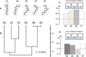 Functional Odor Classification Through A Medicinal Chemistry