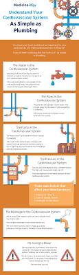Index to building plumbing systems. Understand Your Cardiovascular System As Simple As Plumbing