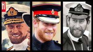 Why do people dislike Diana? : r/TheCrownNetflix