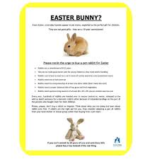 Available only in store (11) pet type. Please Don T Buy Pet Rabbits For Children At Easter Bunnies Are A 10 Year Commitment Need Lots Of Exercise And Cost At L Pet Rabbit Buy Pets Cute Baby Bunnies
