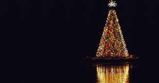 How To Build An Outdoor Christmas Tree With A Chicken Wire Cone Ehow Uk Outdoor Christmas Tree Outdoor Christmas Cone Christmas Trees