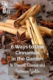 A single application to the stem when you plant the cutting will stimulate root growth in almost every plant variety. 6 Ways To Use Cinnamon In The Garden To Prevent Disease