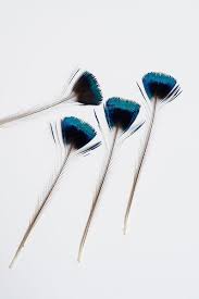 Kroon Van Pauw Feather Hair Accessories Little Bird