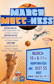 We have dogs, cats, puppies and kittens in our port washington, ny location. Score A New Pet At March Mutt Ness Albuquerque Journal