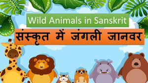 དེན་ཇོནྒ) has been a state in india since 1975. à¤¸ à¤¸ à¤• à¤¤ à¤® à¤œ à¤—à¤² à¤œ à¤¨à¤µà¤° Wild Animals In Sanskrit Youtube