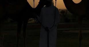 pin on camels