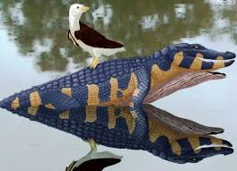 Image result for Brachystephanus