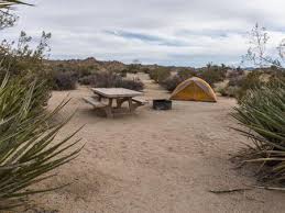Maybe you would like to learn more about one of these? Cottonwood Campground Ca Joshua Tree National Park Recreation Gov