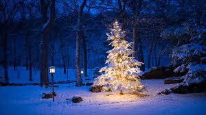 Image result for images Christmas, Hope No Matter How Dark the Darkness