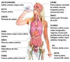 Children should always be closely supervised near animals and taught how to behave safely. Learn Here How To Remove Heavy Metals From The Body Steemit