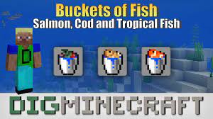 Different fish live in different ocean biomes. Learn How To Catch Fish In Buckets Salmon Cod Tropical Fish And Pufferfish In Minecraft Aquatic Update In Thi Tropical Fish Minecraft Fish Crafting Recipes