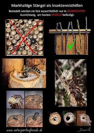Wildbienen Wildbienen Wildbienen Nisthilfe Insektenhotel