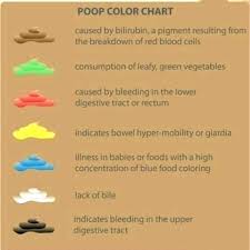 Tan Food Coloring Chart Tricouribarbati Info