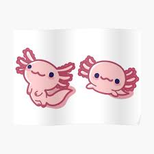 New acts like king princess, billie eilish and lil nas x hit the airwaves and dominated the cultural zeitgeist. Minecraft Axolotl Posters Redbubble