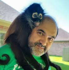 Are swim-up rooms worth the extra cost for non-swimmers at Planet Hollywood  Cancun?