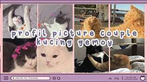 Foto profil wa kucing lucu kartun. Pp Couple Kucing Aesthetic Link To Download Ashedra Youtube