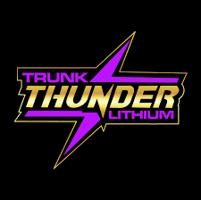 Наукообразная чушь. Разоблачение мошенничества, предвзятости,  недобросовестности и хайпа в науке», Стюарт Ричи читать онлайн фрагмент  бесплатно без регистрации