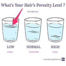 Hair Porosity Test