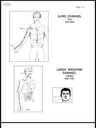 Each pair of connected meridians (except for the pericardium and triple heater) is associated with one of the five elements Lung And Large Intestine Meridian Acupuncture Acupunture Meridians