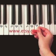 You didn't want to play the piano or keyboard and if you follow. Piano Stickers For Keys Pdf Piano Lessons For Beginners Learn Piano Piano Lessons