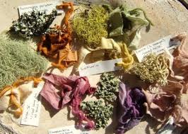Fibershed Lichen Dyes Natural Dye Fabric Eco Dyeing How To Dye Fabric