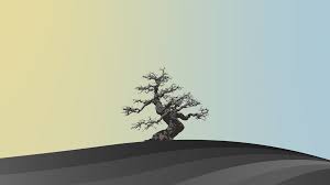 Background Wallpaper Minimalist Japanese Tree Find the best minimalist anime wallpapers on getwallpapers. background wallpaper minimalist