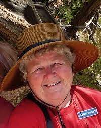 Diane Schechter's Instagram, Twitter & Facebook