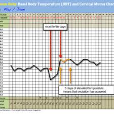 Basal Ovulation Thermometer Bundle 2 Zoom Baby