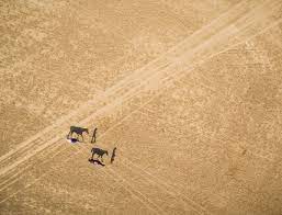 Sheikh hamdan bin mohammed bin rashid al maktoum crown prince of dubai is pictured during al marmoom heritage festival at the al marmoum camel. Aerial View Of Al Marmoum Camel Racetrack In Dubai U A E Aaef03172 Amazing Aerial Westend61