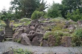 Etwa 10.000 pflanzenarten wachsen auf dem gelände am. Botanischer Garten Dresden Florale Raritaten