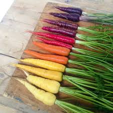 We use carrot to make sure team updates and announcements don't get lost in slack conversations. Carrot Seeds Rainbow Mix Vegetable Seeds Suttons