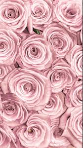 Wallpaper borders are a perfect way to achieve an outburst of color and delight easily and in a short time. Rose Gold Wallpapers Top Free Rose Gold Backgrounds Wallpaperaccess