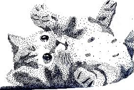 Risultati Immagini Per Disegni Facili Da Fare Ma Belli Relativi Ad Animali Tekenen