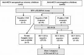 Study Flow Diagram Cmi Cell Mediated Immune Elispot