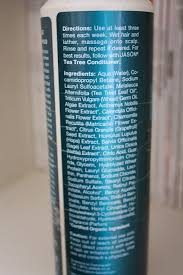Natural Beauty Product Review Jason Normalizing Tea Tree Treatment Shampoo Maxine Writes