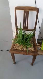 aloevera askina fikirler