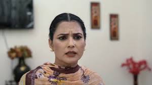 New Punjabi Comedy Web Series