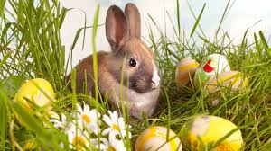 Es wurde 1983 veröffentlicht und konnte als erstes handy mit ihm konnten sie maximal 30 minuten lang telefonieren und es dauerte 10 stunden, bis es geladen war. Osterhase Ursprung Und Bedeutung Brigitte De