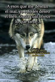 Pin De Eternity Pensamientos De Una L En Eternity Pensamientos De Una Lobaღஐƹ ӝ ʒஐღ 3 Amor De Lobo Fotos De Lobo Fotos Lobos